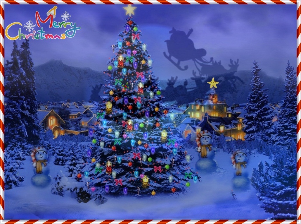 christmas-tree-nature1024-226431